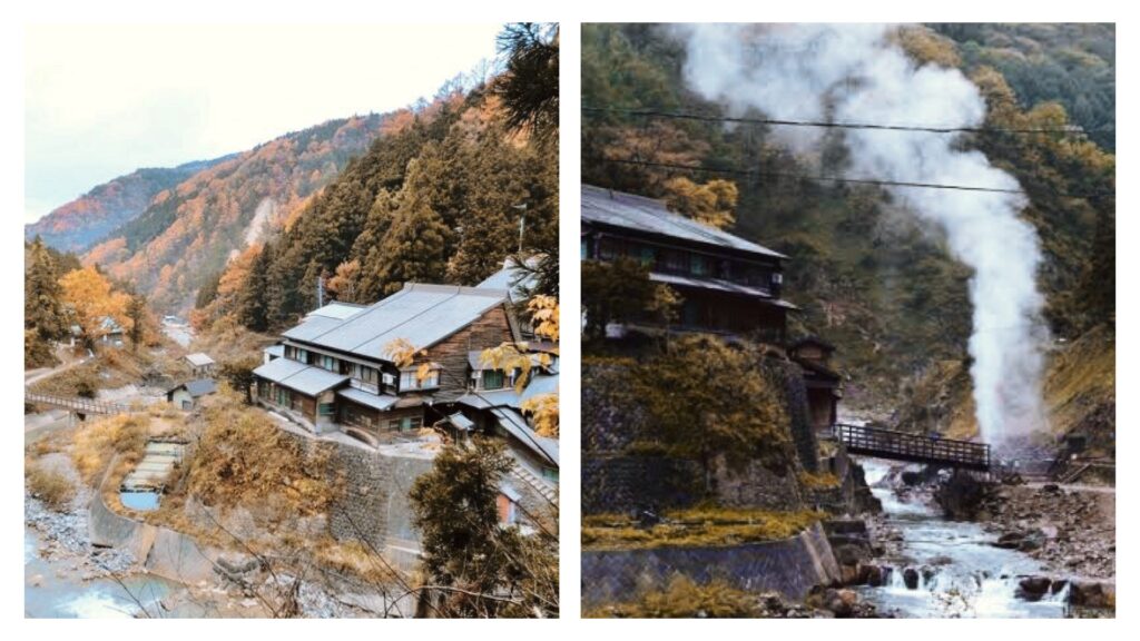 jigokudani onsen snow monkey park